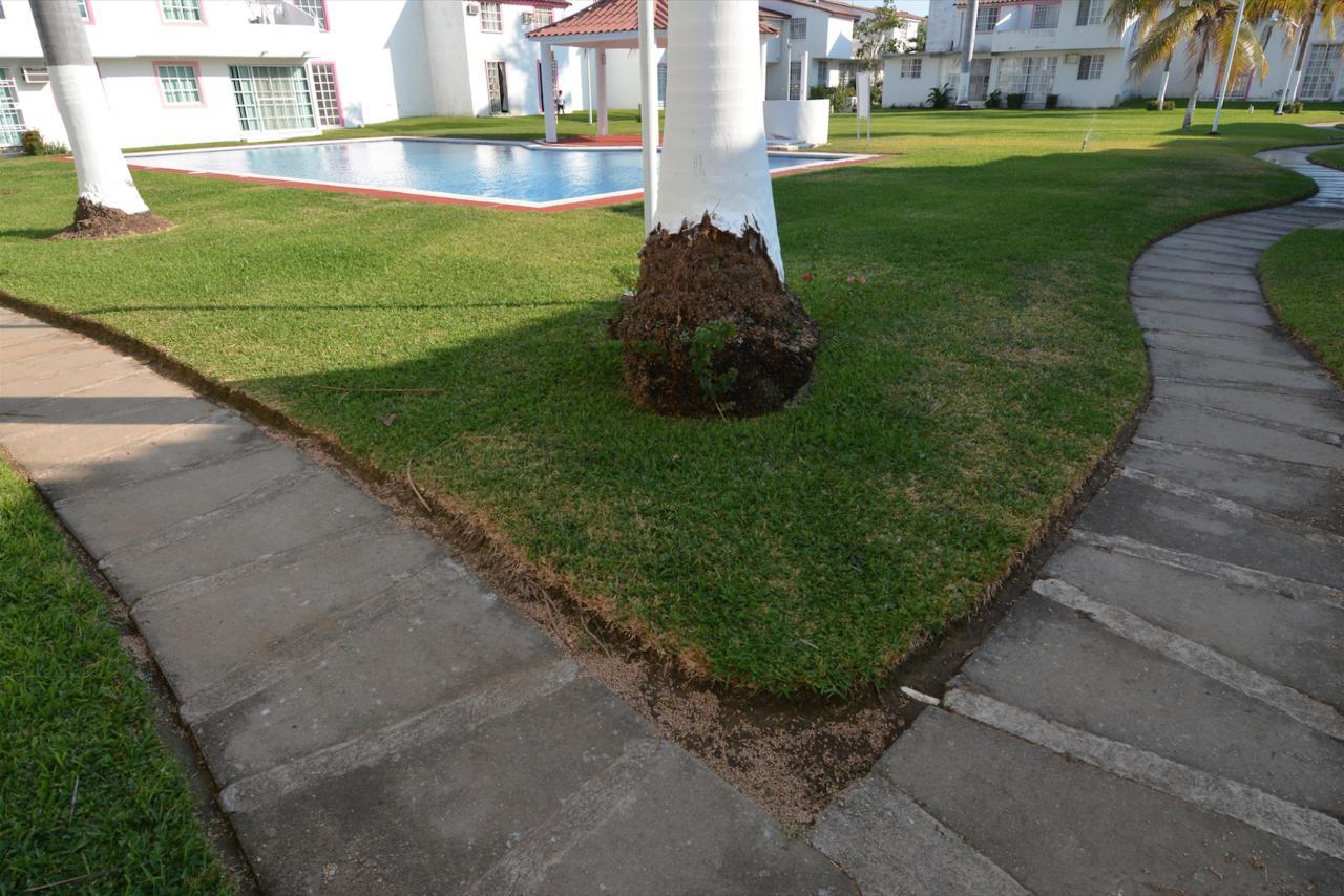 Hominngbird Acapulco Exterior foto
